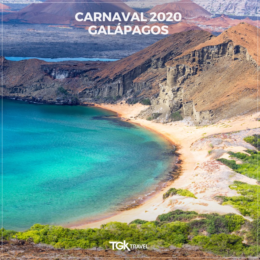 TGKTravel's tweet photo. Você ainda não programou sua viagem de Carnaval e acha que não dá mais tempo?

Passe seu feriado em Galápagos, a TGK te leva!

Fale conosco e programe sua saída com os foliões que vão à Galápagos: https://t.co/LNM2W4H6v0

#galapagos #galapagosislands #islasgalapagos #equador https://t.co/llWKzwfJAt