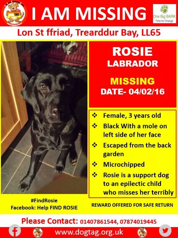 LisaLisaw1's tweet photo. Please dont forget Rosie β€οΈ #FindRosie #HelpFindRosie #MissingFourYears ππππ https://t.co/AclT34Majm