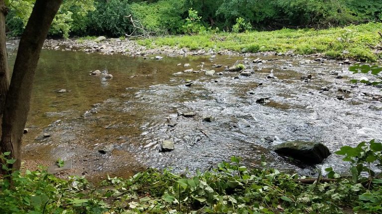 TTFWatershed's tweet image. #Philadelphia just had its wettest decade on record, and all that precipitation has wreaked havoc on the city’s #waterways. In this blog adapted from a @SciHistoryOrg podcast, we explain the problem of water pollution from combined sewer overflows: ow.ly/wzQG50yaLVq