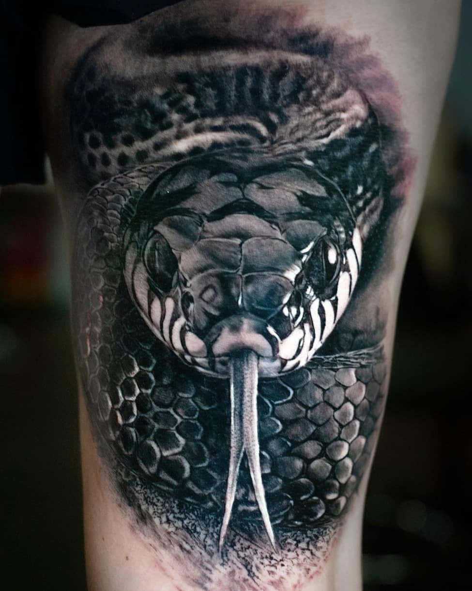 تويتر Jackson Booth على تويتر Healed And Fresh Snake I Tattooed A While Back One Of My Favourites Tattooed On The Back Of The Thigh Thanks For Looking Inked Snaketattoo Snake