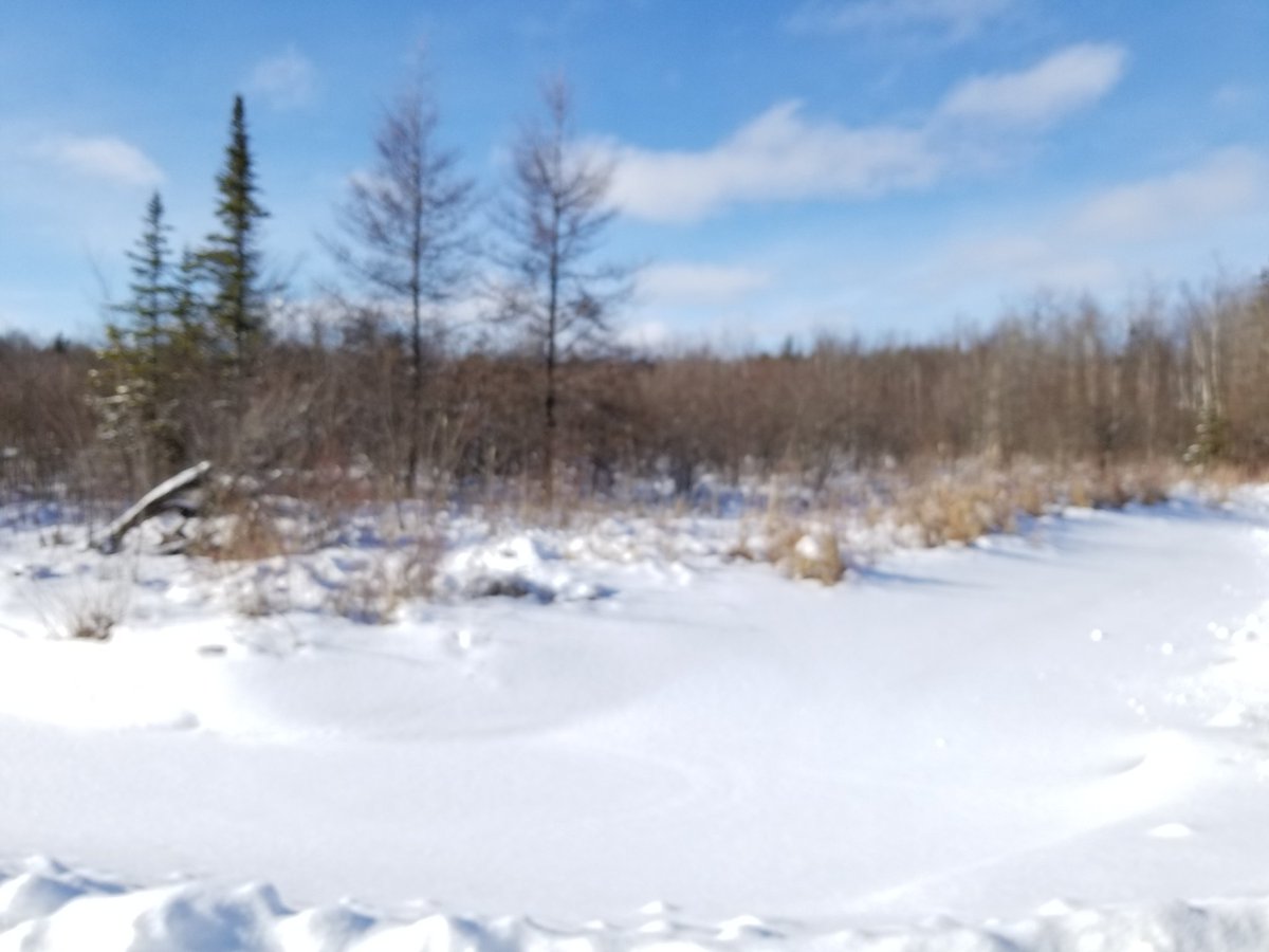 Donna Lacey tweet media