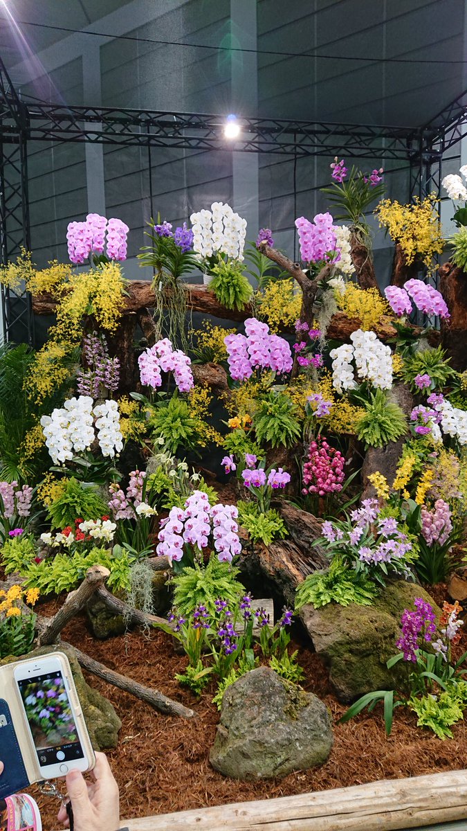 花と緑のココロ博 公式 Cocorohaku さん Twitter