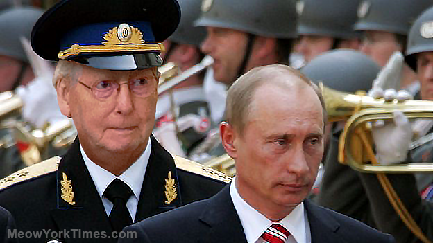 MeowYorkTimes's tweet photo. @senatemajldr #MoscowMitch #MoscowMitchCoverUp #MoscowMitchTraitor https://t.co/aNkTc9ua7Q