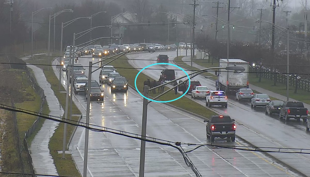 lexwrecks's tweet photo. Two horses on the median on MOW between Lyon Dr and Harrodsburg.  Traffic is stopped on the outer loop and one lane blocked on the inner loop. https://t.co/eEfQc7gjzi