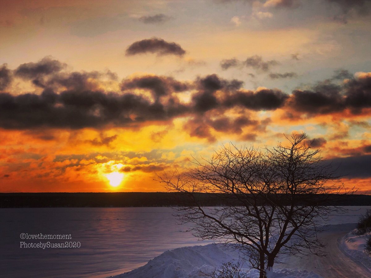 Suz0223's tweet photo. From Sunrise to Sunset....... Feb 4/2020. #lovethemomentphotosbysusan https://t.co/roJk1VIYka