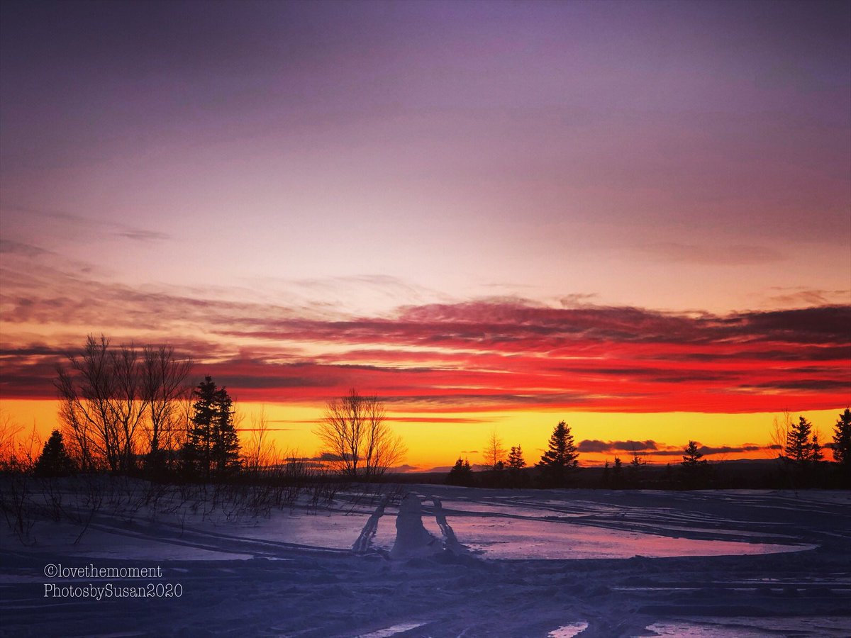 Suz0223's tweet photo. From Sunrise to Sunset....... Feb 4/2020. #lovethemomentphotosbysusan https://t.co/roJk1VIYka