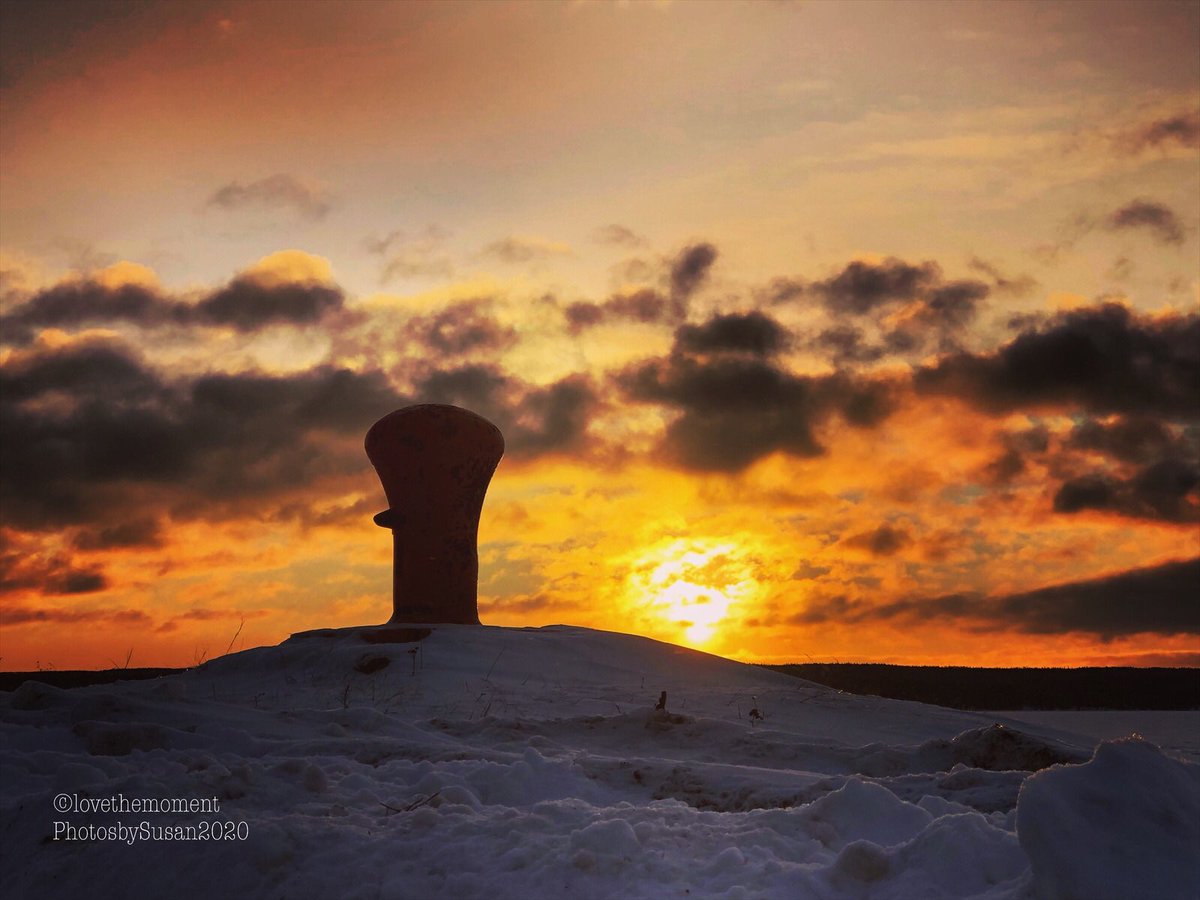 Suz0223's tweet photo. From Sunrise to Sunset....... Feb 4/2020. #lovethemomentphotosbysusan https://t.co/roJk1VIYka