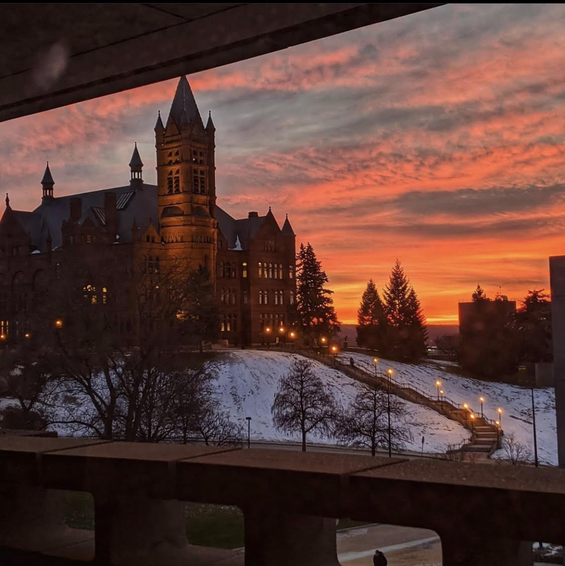 It’s an orange world, we’re all just living in it 🌇

(📸: Kelly Lux)