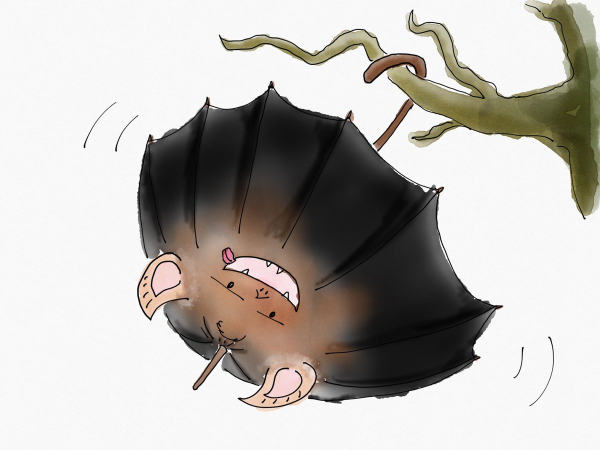 Chobi O V Twitter こういう事じゃないって たまに良いですよね笑 こうもり傘 絵しりとり ど素人 落書き イラスト Tayasuisketchespro Chobi O V Twitter こういう事じゃないって たまに良いですよね笑 こうもり傘 絵しりとり ど素人 落書き イラスト Tayasuisketchespro