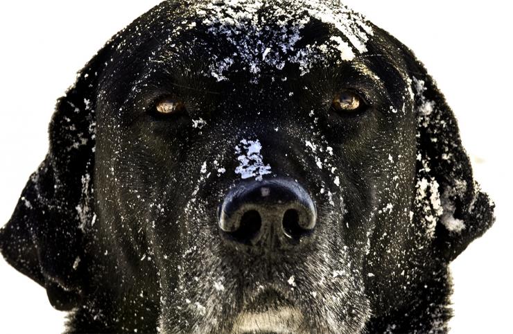 Due to the predicted inclement weather, Powder Creek will be closed Wednesday, February 5th.