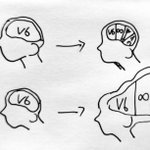 ほんと？推しグループを増やすと脳はギャル曽根の胃袋並みに巨大化する説!