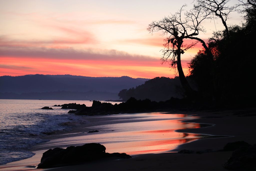 copadearbol's tweet photo. "Travel is the only thing you buy that makes you richer." #copadearbol #drakebay #osapeninsula #costarica #costaricatravel #beachresort #beachvacation #tropicalvacation #sunset #traveler #visitcostarica #thisiscostarica #crvrocks #costaricaexperts #goplaya #top10costarica https://t.co/Kx5bG5Efon