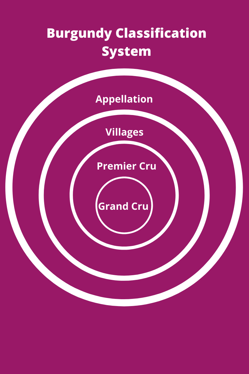 nycwinelist's tweet photo. An Introduction to French Burgundy Wine https://t.co/AtJlxtm3HJ https://t.co/DYEhR9z5A0
