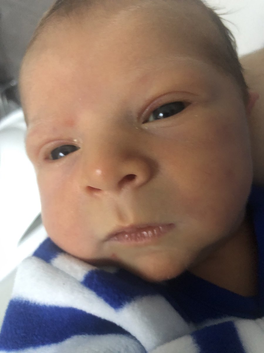 biologystitious's tweet photo. First day back tomorrow after 2 weeks paternity leave... not looking forward to it 😢 #missthatface https://t.co/2TwEkm1LQ5