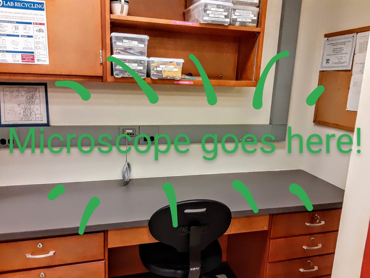 PPaleoecology's tweet photo. Getting ready for our #NewMicroscope! ππ¬π
Coming soon: amazing images and super cool automated counting protocols.
#lab #Excited #microscopy #archaeologicalscience #archaeology #archaeobotany https://t.co/W5P5hLmVXq