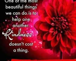 ranigill7's tweet photo. #GREAT!!! FRESH DAY FRIENDS , #HAPPY  MORNING  AMAZING!!! 🌻🌹🌻🌹🌻🌹 FRIENDS , #GBU ALL #THOUGHT @VandanaSharm  @jojoawana @Harjitk32610245 @kauserseema @pari25tri  @Pinkysmile24 @Surekhas159  @RubyKha09925269  @TweetyVerma  @ShwetaMittal20  CHEERS https://t.co/dANpBg2i7E