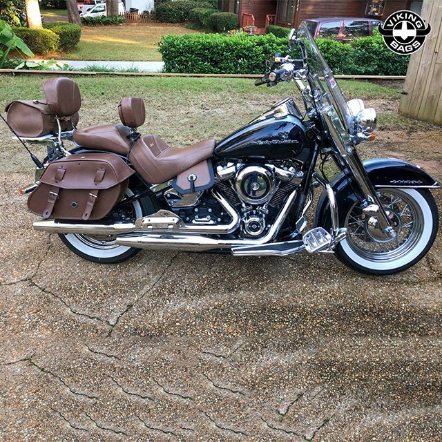 viking bags for dyna