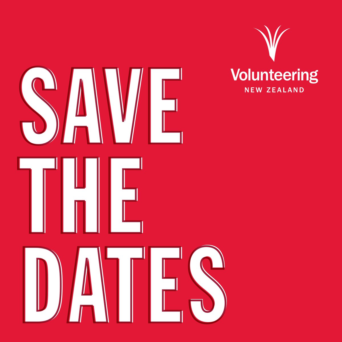 VolunteeringNZ photo