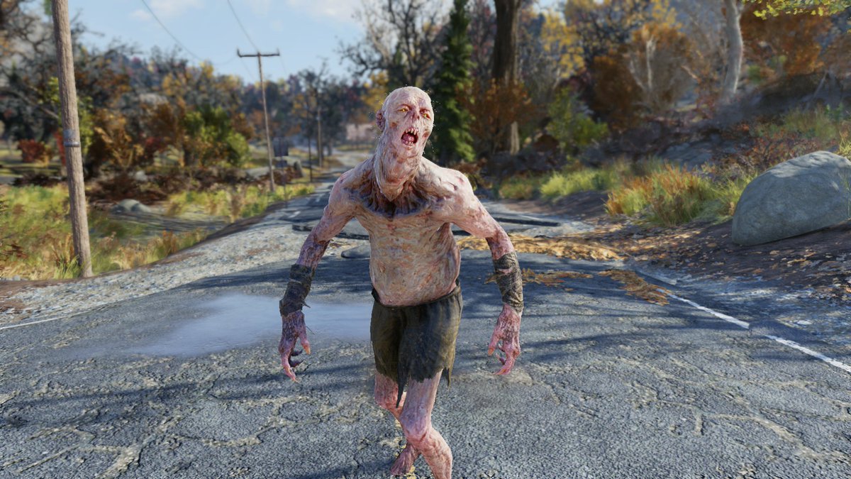 Just a quick snap of my cousin Meral!

#Fallout76 #Fallout #PhotoMode