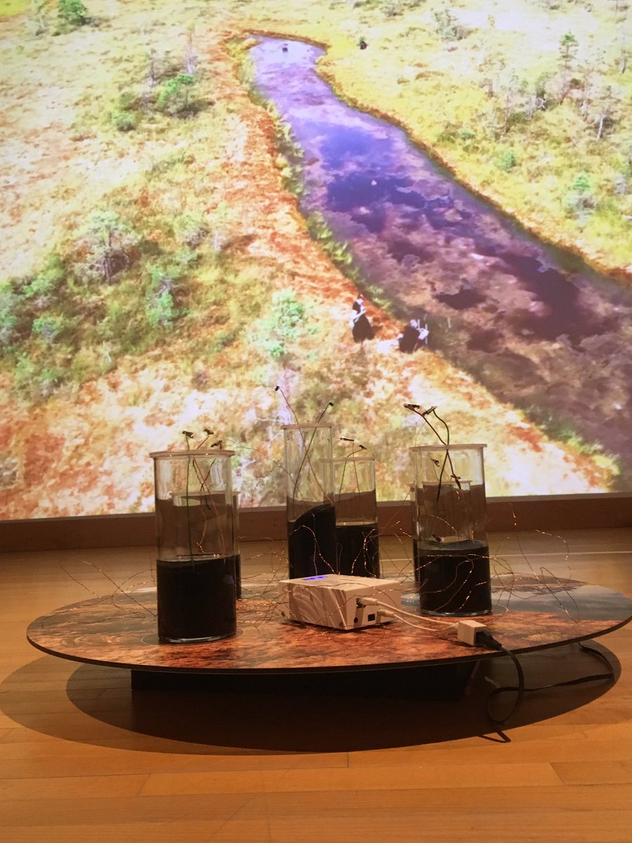 eci_IMPACT's tweet image. #alarmkw @THEMUSEUM #ClimateChange #ClimateCrisis @ClimateActionWR