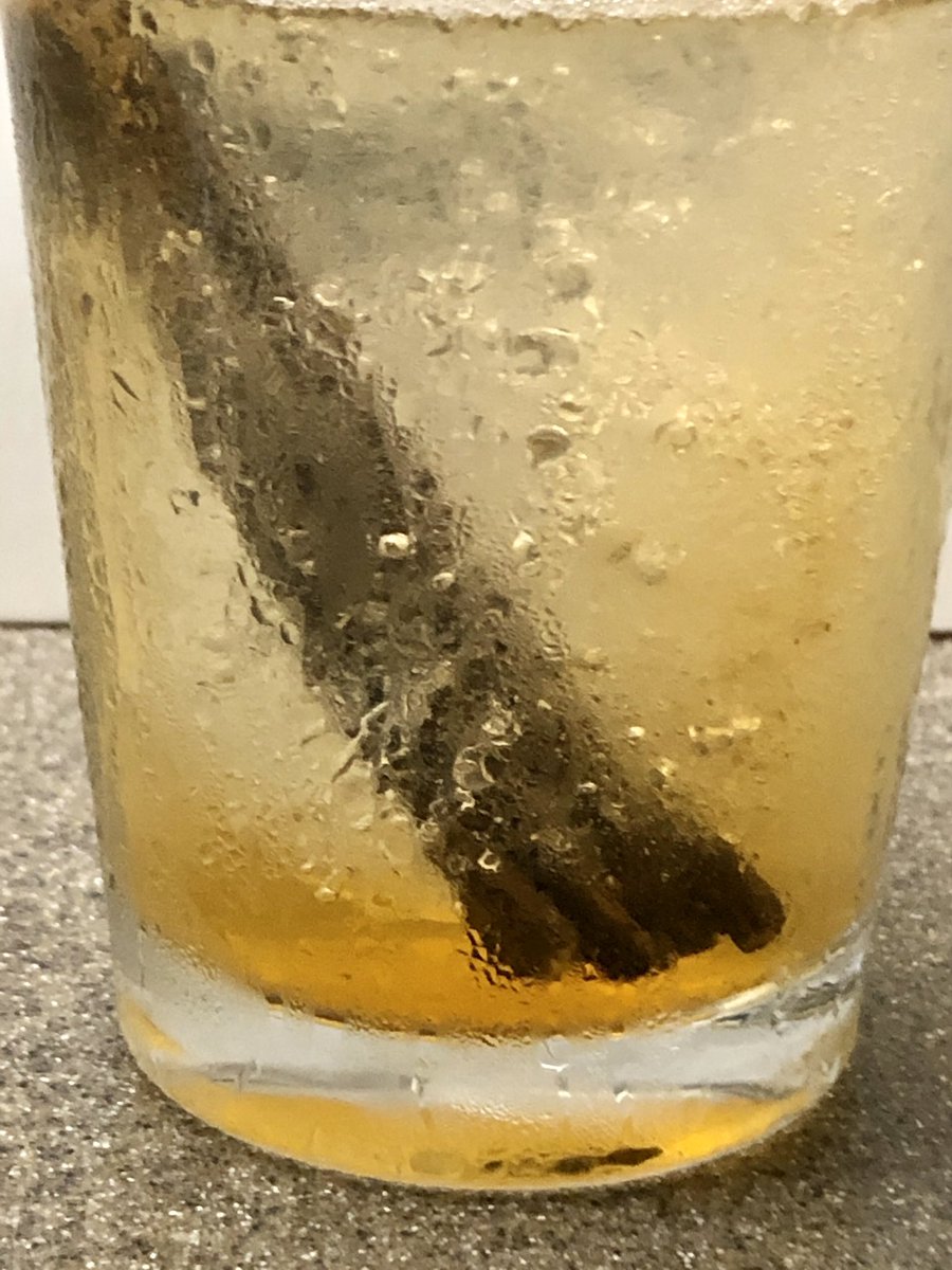 OrganicBelize's tweet photo. Contribo on ice, winter proof your body.  #contribo #belize #organic #herbaltea #herbs #iced https://t.co/ElO4OWEvMT