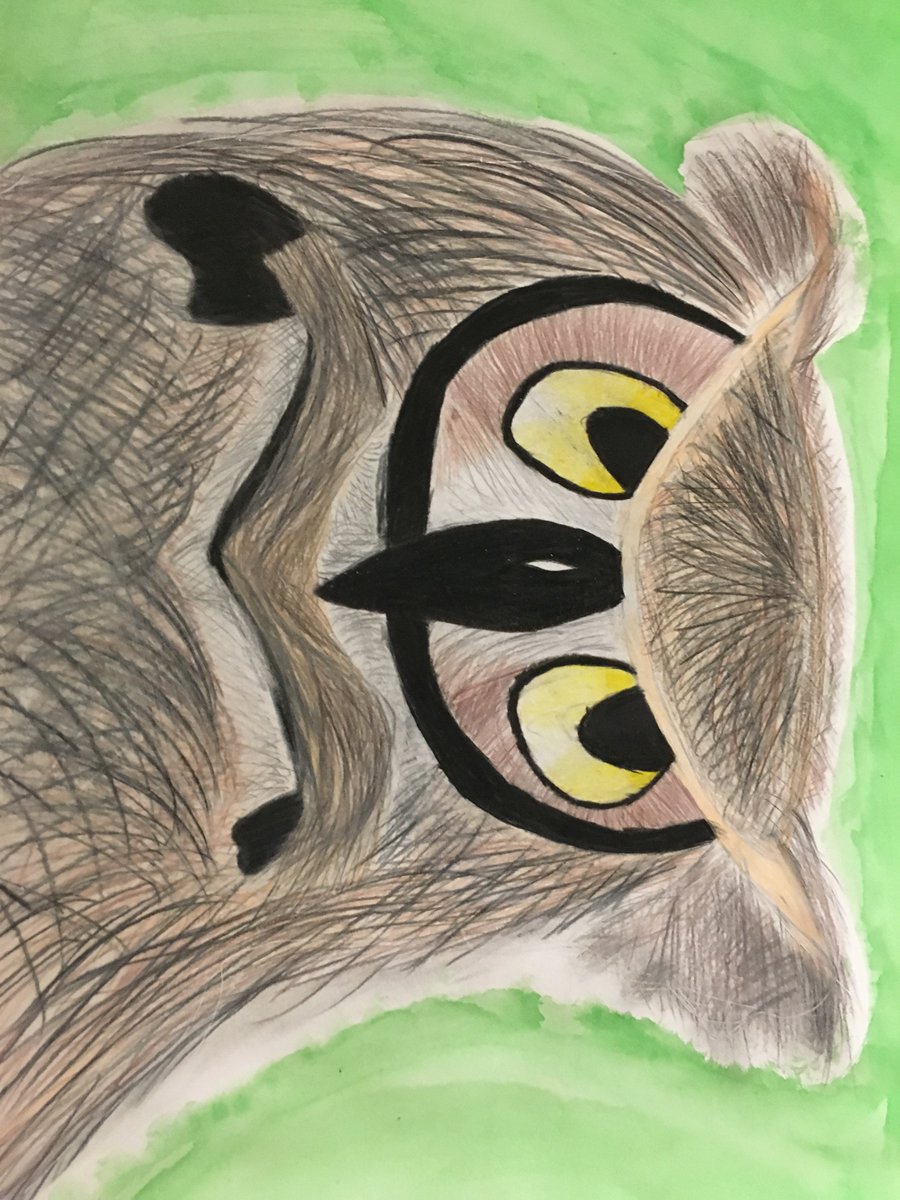 jkopplandry's tweet photo. A3: I incorporate student choice in many projects such as these 6th grade animal drawings #K12ArtChat https://t.co/ImiJWBl7bf