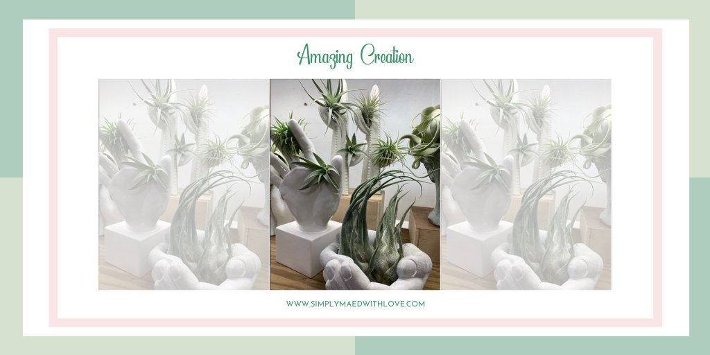 SimplyMAEdwLove's tweet photo. Isn't it so lovely?❤️
Imagine the different wonderful and amazing displays you can do with air plants just like the image below⬇️

Photo credit to @downtownflowersnet

Swing by at https://t.co/A53bqJ4B5N 

#homedecorinspo #homedecorlove #homedecorideas https://t.co/C48OCMgx2p