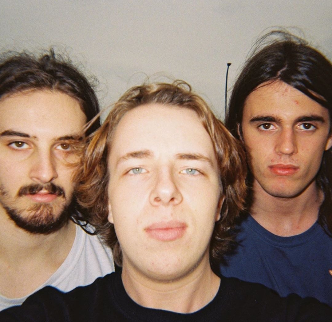 wildestoxen's tweet photo. Love these guys https://t.co/SV2IIe7EyY