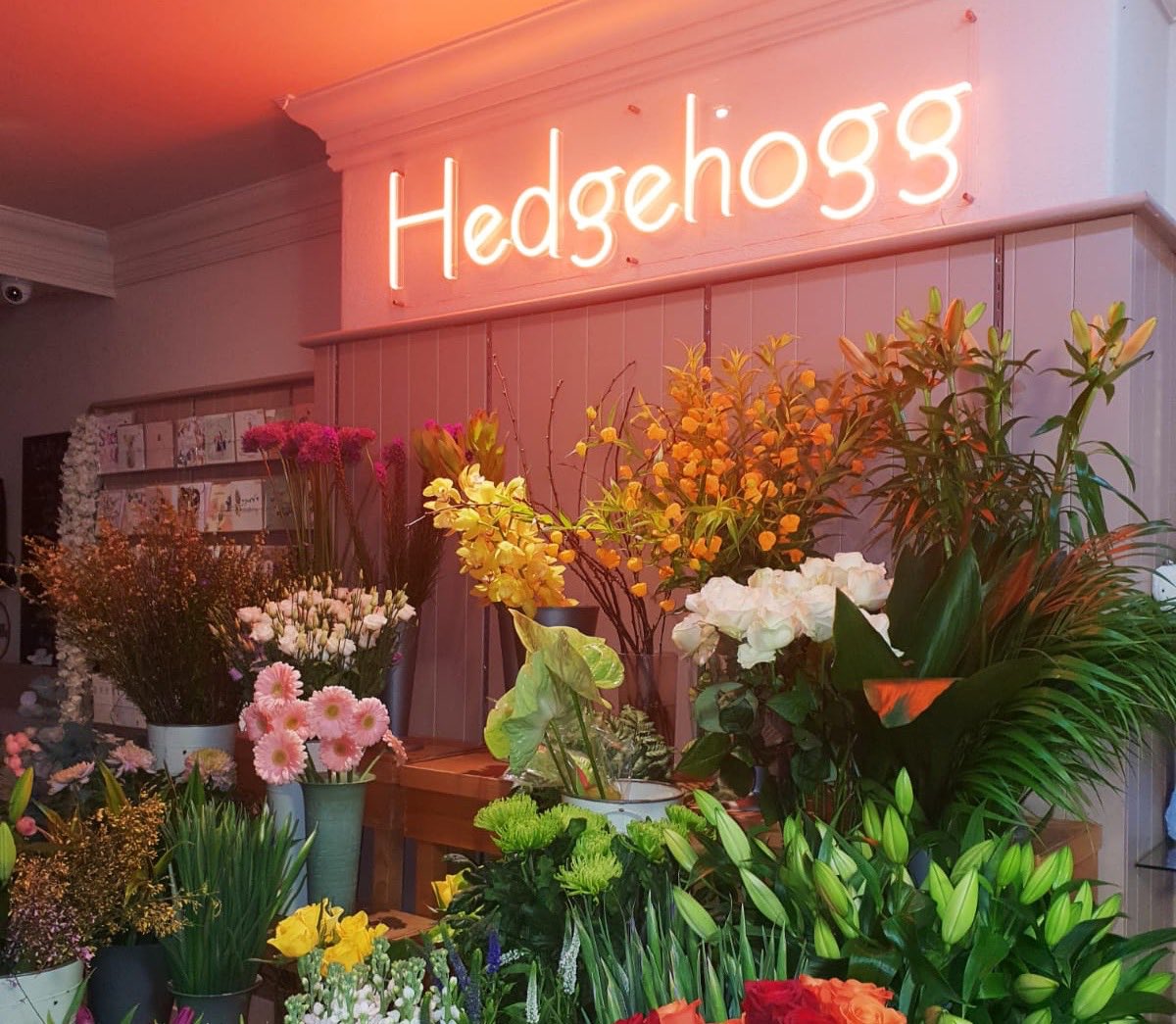 New neon Hedgehogg sign and we LOVE it #colne #flowershop #neon #flowerfriends