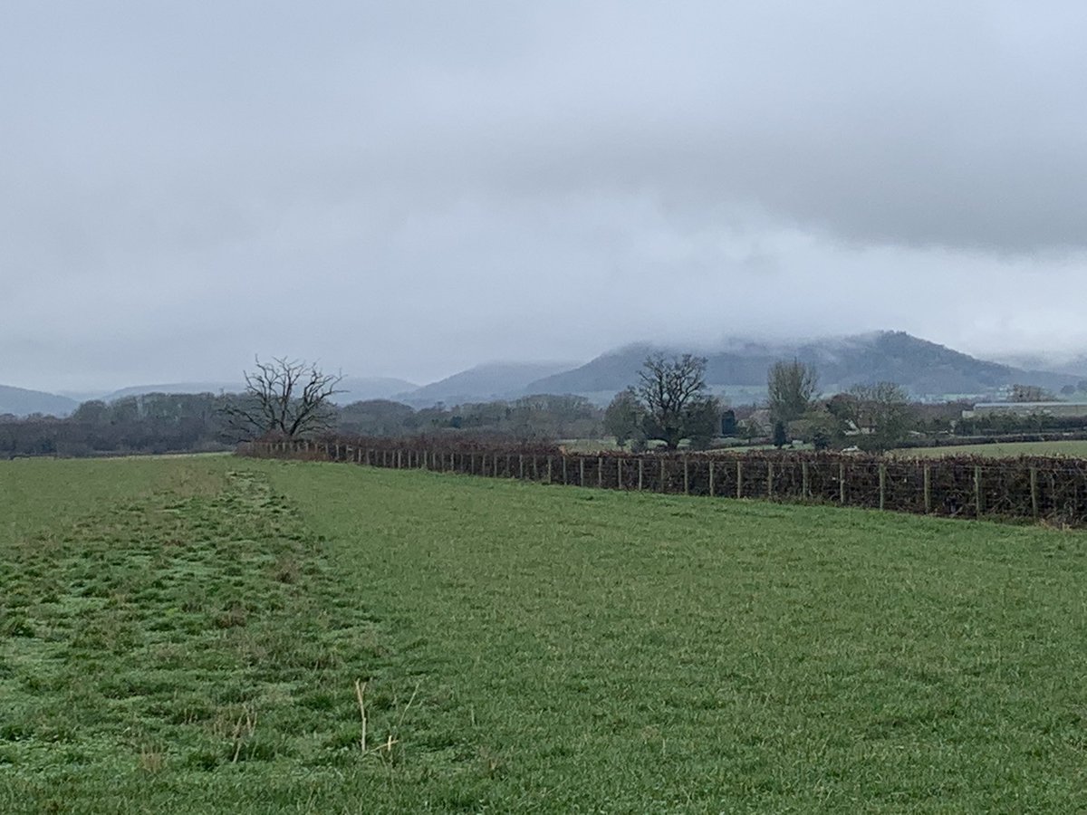 AutisticWalker's tweet photo. Wet underfoot today on a grey day, but with the right boots and clothes no problem at all. Walked 5-mile route taking in Iron Age hill fort #SuttonWalls an important archeological site. Great church at #Marden too.  https://t.co/v2SAJMzXfL #Herefordshire #walk https://t.co/dG254F4JTw