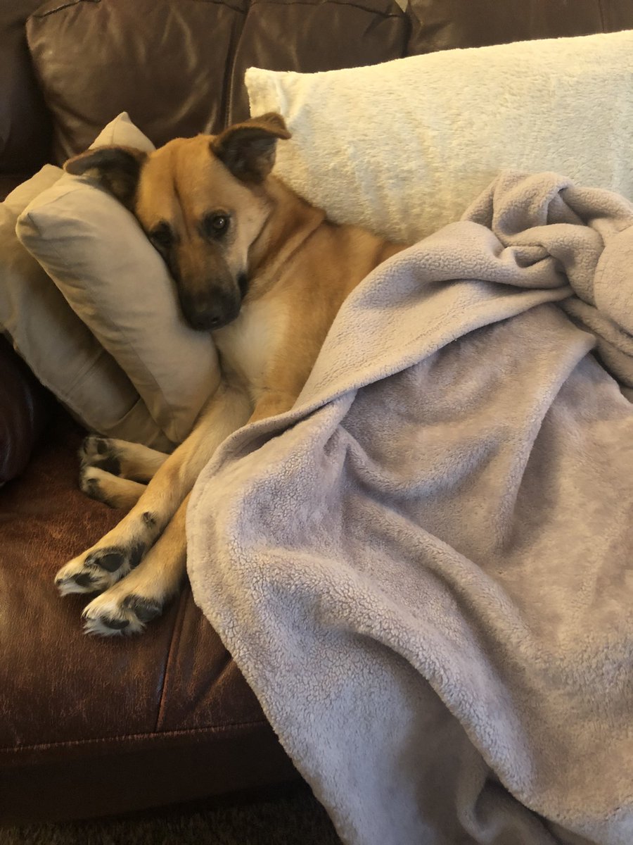 Julia Anne tweet media