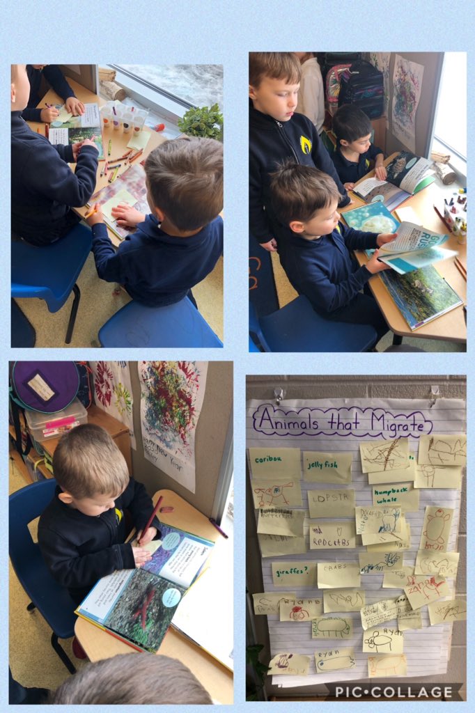 Rm102LC's tweet photo. What animals migrate?  We looked in books to find the answer.  The students saw a caterpillar outside and wondered if it was hibernating. https://t.co/7iud1XECij
