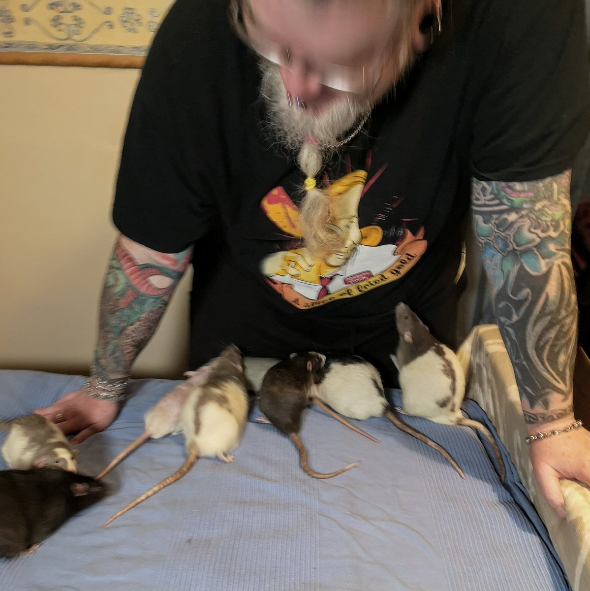 MotherToRats's tweet photo. All the rats run to see RatDad.. How beautiful it is to be loved and trusted by such tiny creatures 💖
#ratsoftwitter #twitterrats #petratsoftwitter #fancyratsoftwitter #rattiesoftwitter #petrats #ratlove #weloverats #ratcommunity #rodentlove https://t.co/071k9DuPZa