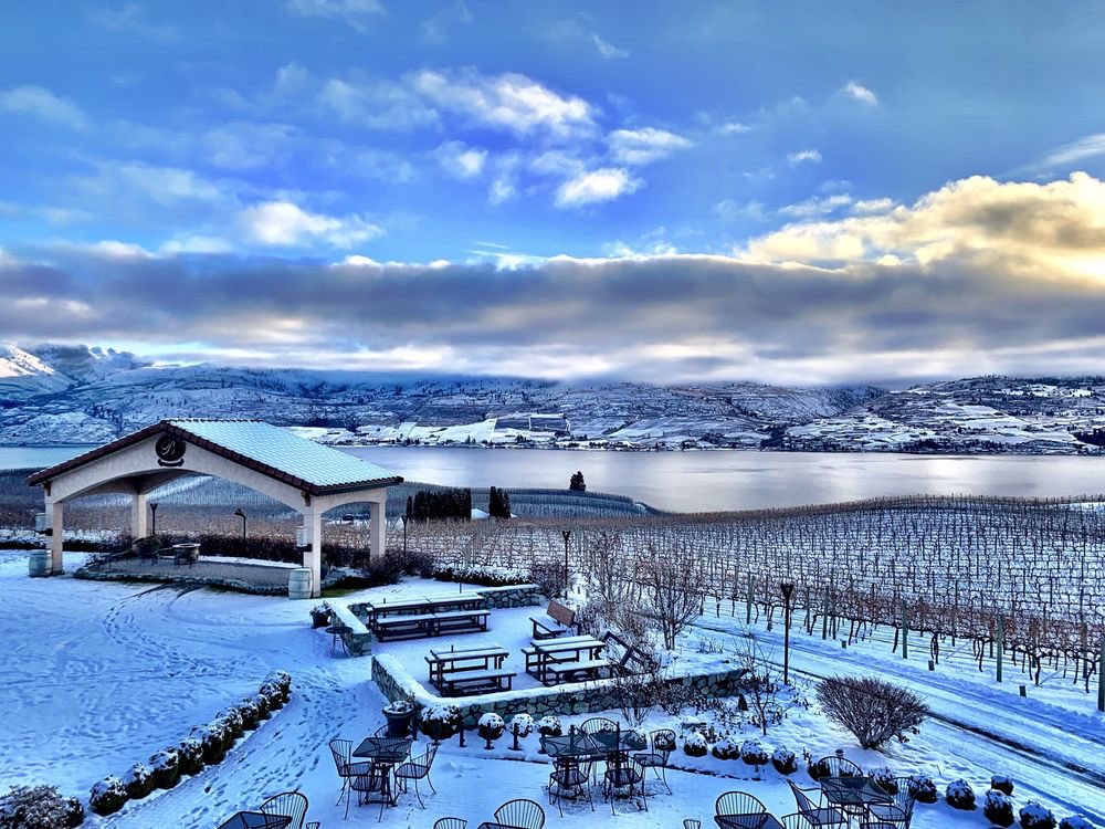 bensonvineyards's tweet photo. #Winterfest weekend round two! More like #bensonfest weekend round two! ✌🏻🍷😉 LIVE MUSIC SATURDAY!!! #bensonvineyards #winter #winterfest #livemusic #bensonfest #winterwonderland https://t.co/DSDW8is3wS