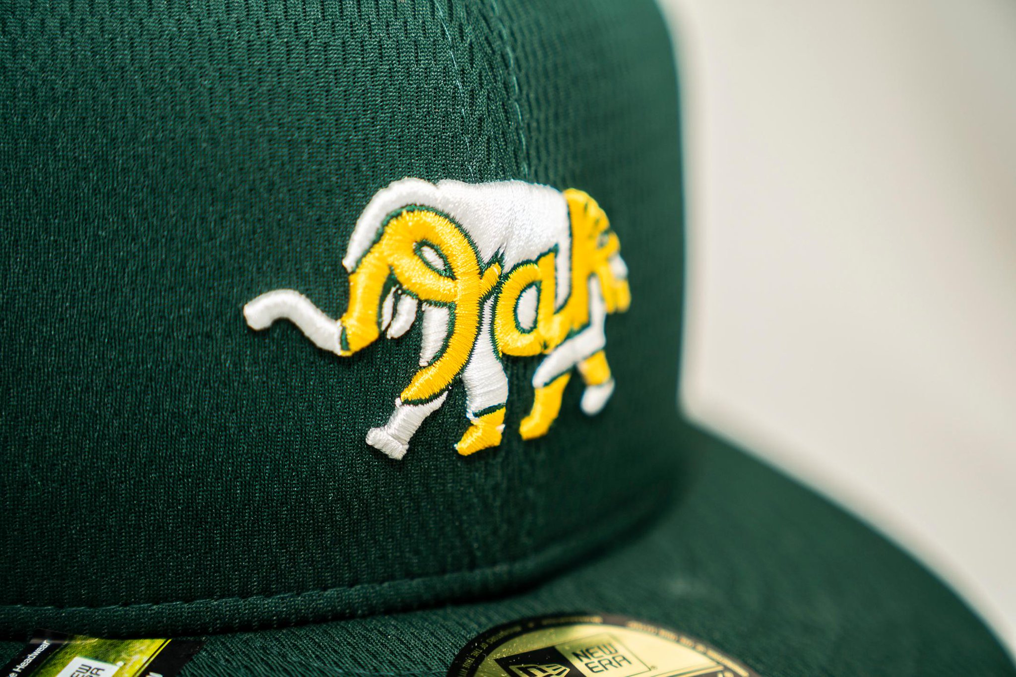 a's batting practice hat