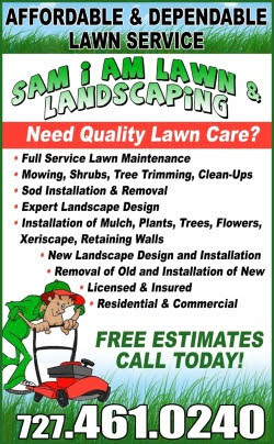 sam_landscape's tweet photo. Sam I AM Lawn &amp; Landscape employs experienced workers with the right tools needed to tackle your lawn care challenges with speed 727-461-0240 #Landscapedesign #Landscaping #Landscaper #LandscapingService #LawnMaintenance #lawncareservices #lawnservices #lawncare https://t.co/Y3Npcp5Vmf