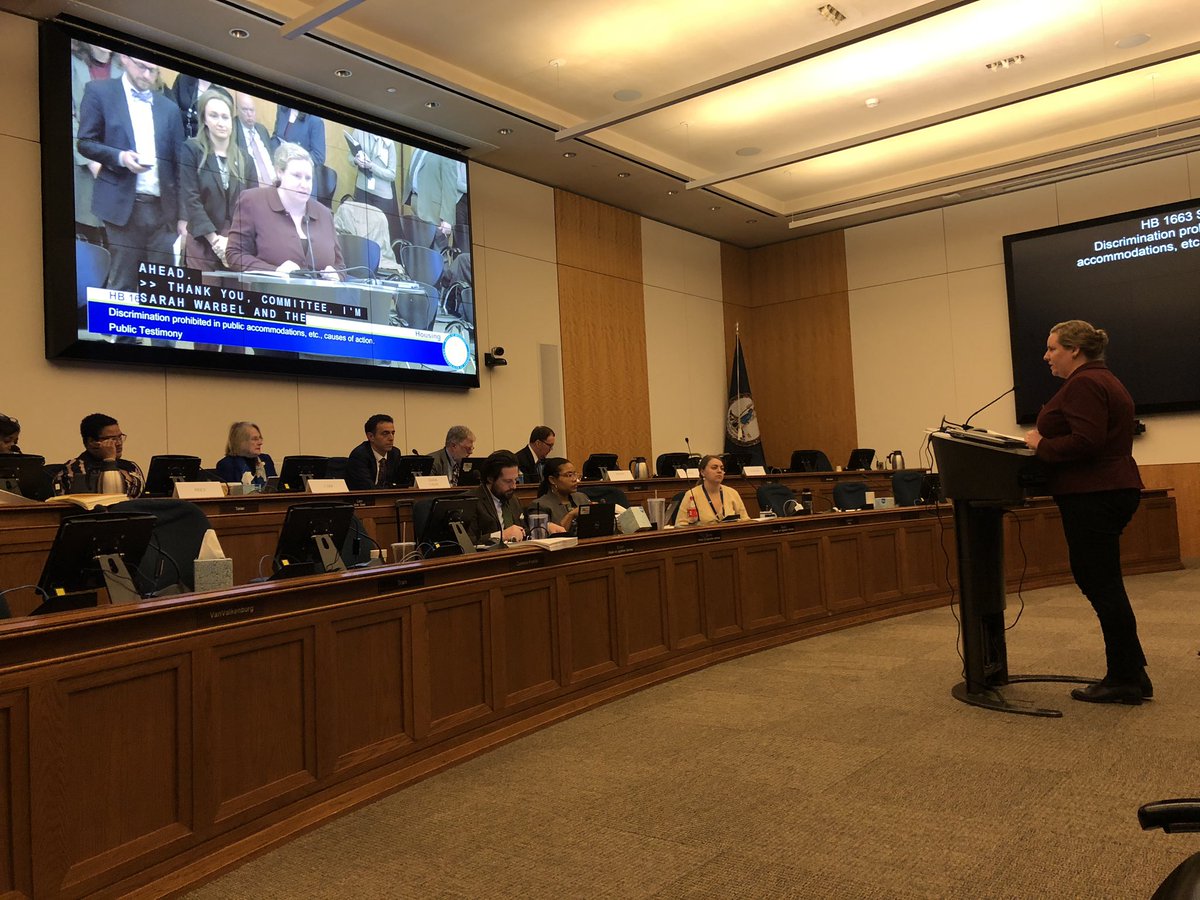 justinunga's tweet image. Awesome to see my @HRC colleague @SarahWarbelow urging the #Valeg to ensure non-discrimination protections for all Virginians. #vavalues #HB1663 #equality #lgbtq