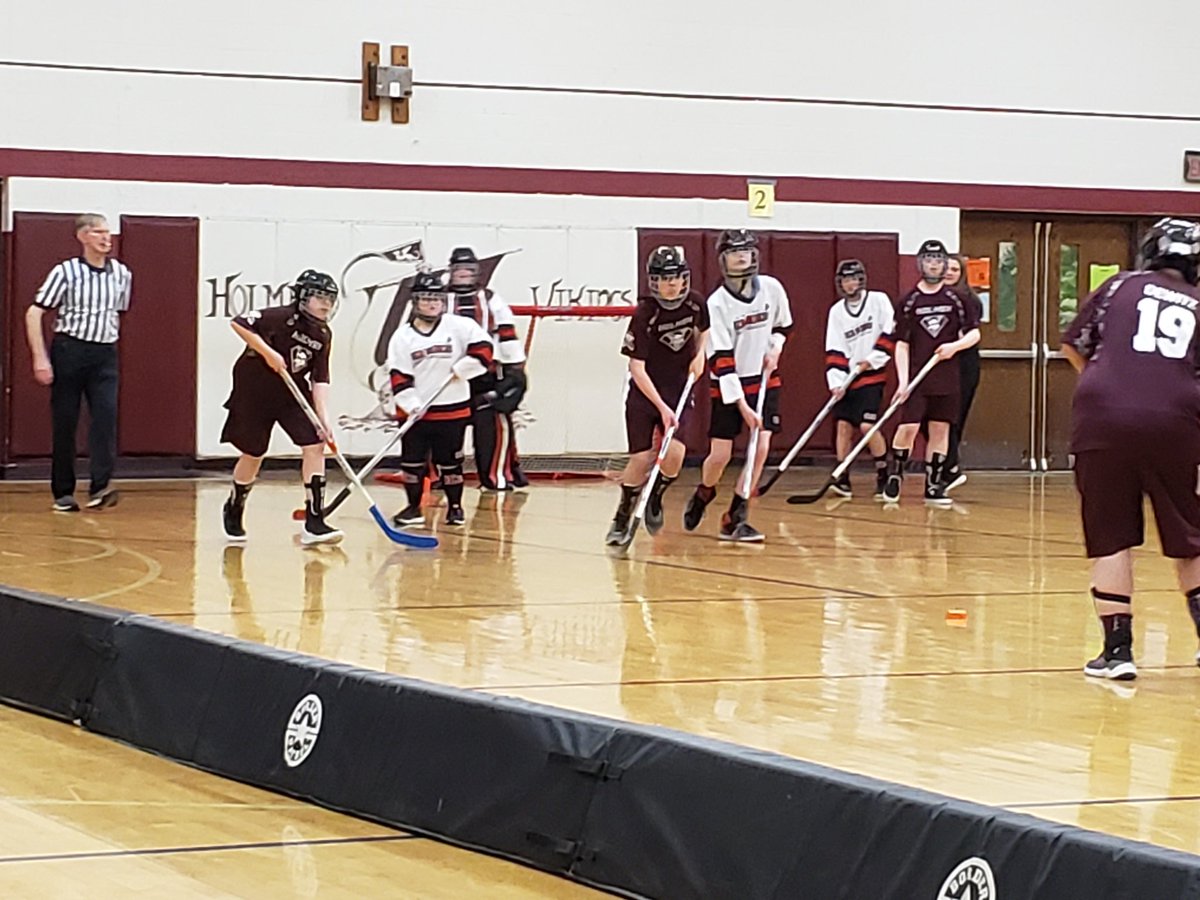 Holmen Vikings tweet media