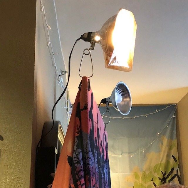 FolkHallBoston's tweet photo. One of the challenges at #FAIConference is to decorate and turn a suite into a venue. @_themammals have used the artwork of artist and graphic designer Veronica Farrin (https://t.co/Q0Gav4PSRE) to decorate their showcase interior. #faineworleans #IFMAs #folkalliance2020 #FARHOF https://t.co/BbROOxa4pi