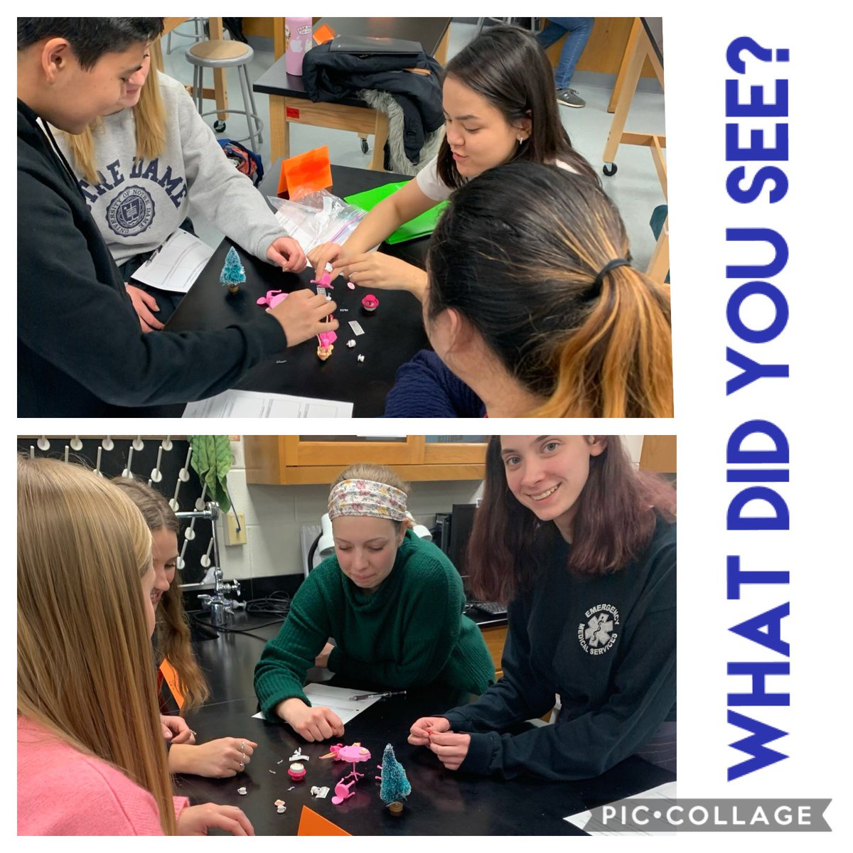 rachelleterada's tweet photo. #WNForensic started today’s discussion on #observations and #eyewitness infallibilities by attempting to recreate a #crimescene they got a glimpse of...
#yourcommunityschools #handsonlearning https://t.co/Oqe5T40X8r