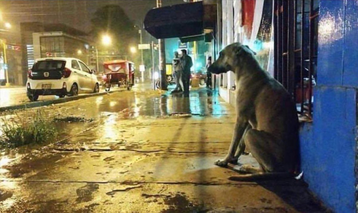 değerliydi
yalan yok
değer miydi 
yorum yok