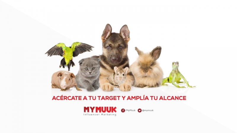 MyMuuk tweet picture
