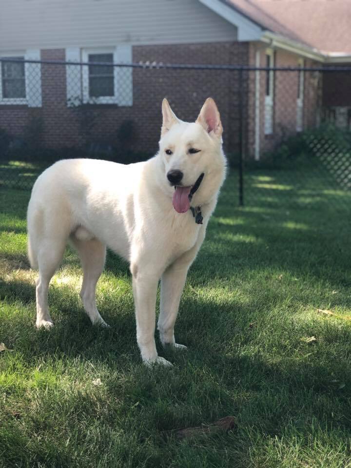 Mister THICCster 👑 tweet media