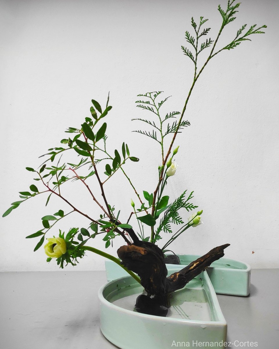 annahernandezco's tweet photo. 🤗 #ikebana #paisatge #suikei #profunditat #profundidad #forest #bosc En aquesta ocasió, destacael #tronc d'arbre #sabina #bonsaikebana @ikenobo550 @hananokoushien  #portalanaturaacasateva 

#ClimateEmergency https://t.co/Wi8RmqO2N2