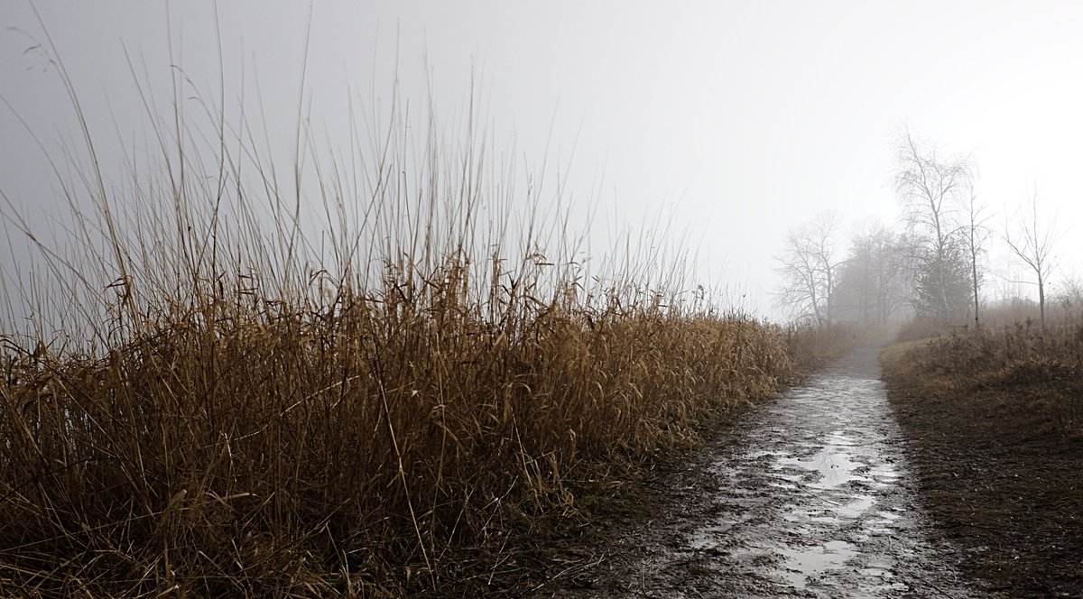 Christopher Bailey tweet media