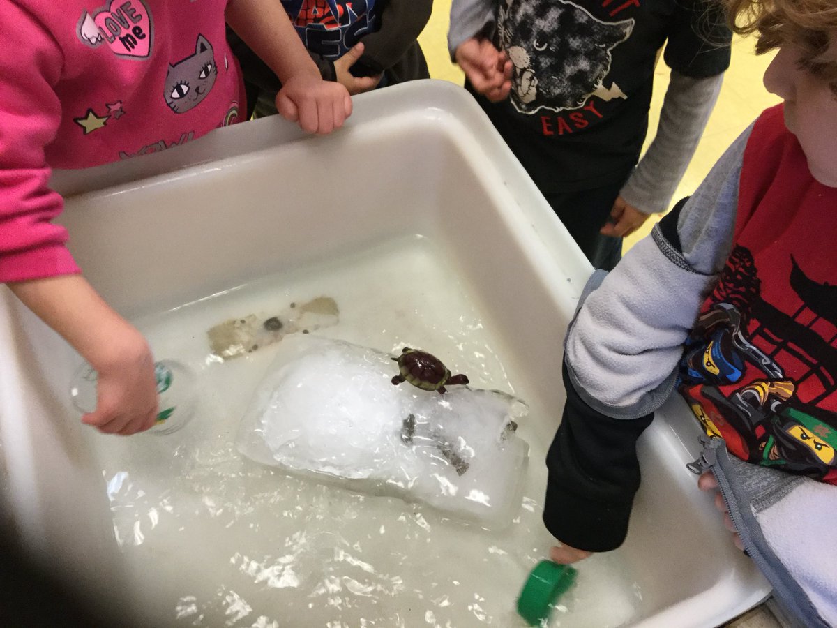 JenniferCadogan's tweet photo. Experimenting how to brake the ice to get the objects out. https://t.co/HKPkW02ZVq