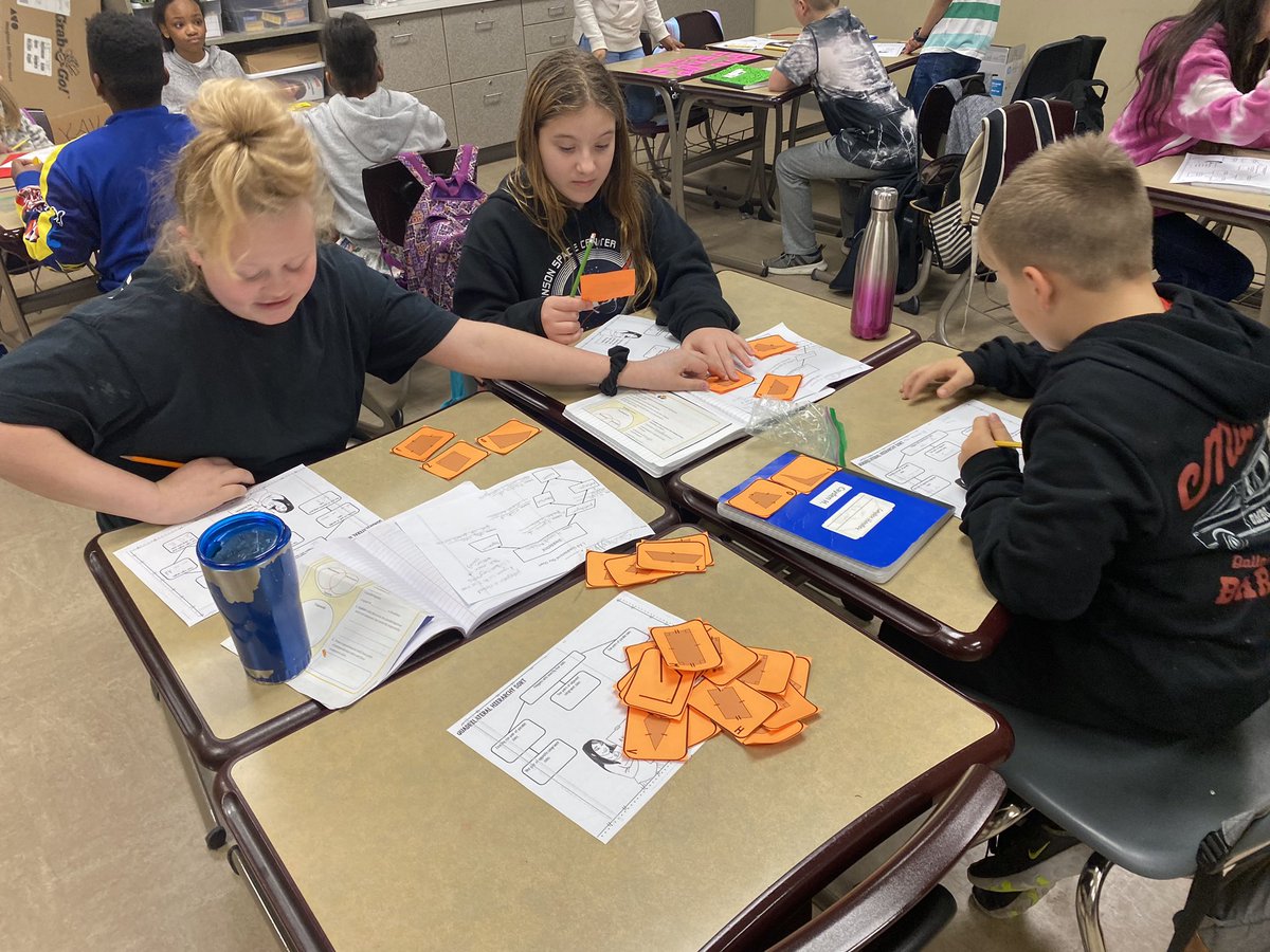 browncken's tweet photo. Students are working hard sorting geometry figures on their flowcharts today. @CrosbyElem https://t.co/F45aJt1ZnT