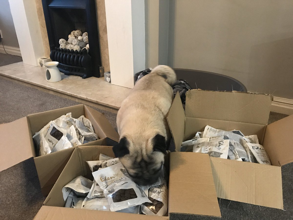 dexterpuggie's tweet photo. Thank you @EdenPetFoods for my competition prize I am one lucky pup! 🥰🐶 #pugs #puglife #food #lucky #puglove https://t.co/GzcGN3bKC9