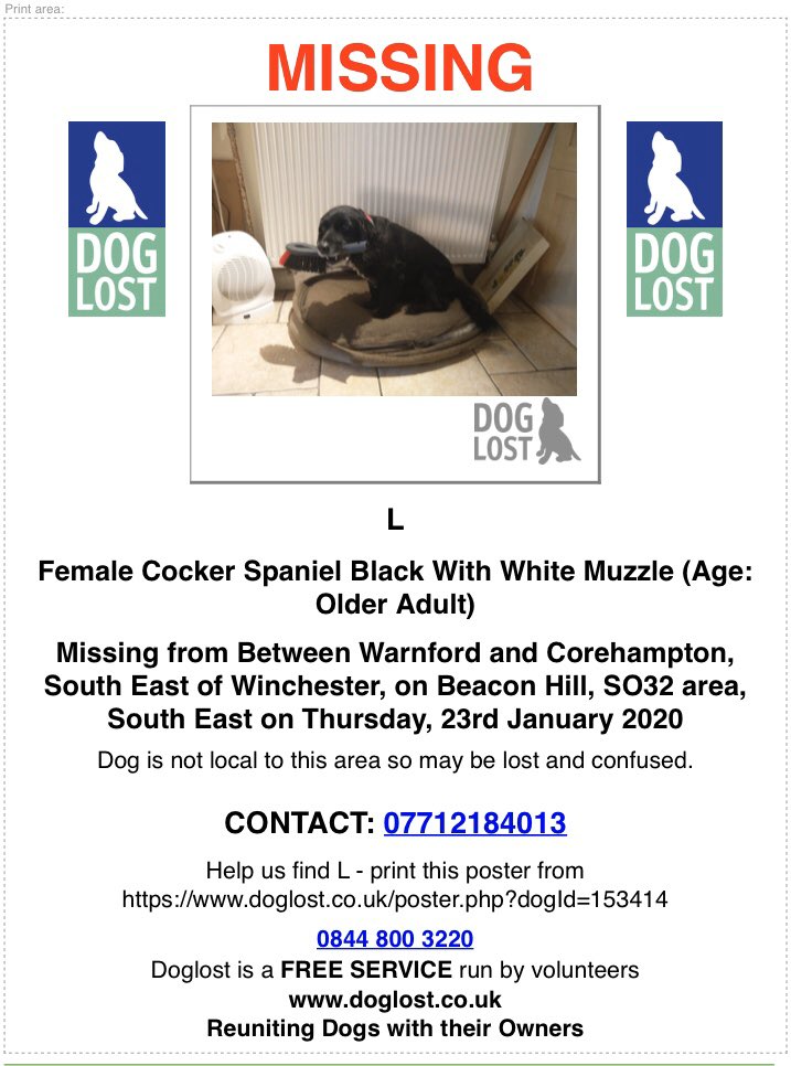 rosieDoc2's tweet photo. #MISSING ANOTHER ELDERLY #Spaniel “L” black with white muzzle between #Warnford & #Corehampton SE of #Winchester on Beacon Hill #SO32 23/1/20
Spayed/chipped
‼️NOT LOCAL TO AREA‼️ 🆘🆘
https://t.co/EvF4gXDk3L
🐾🐾LOCALS PLS 👀 OUT 🐾🐾TY https://t.co/yjaE7YIbc0