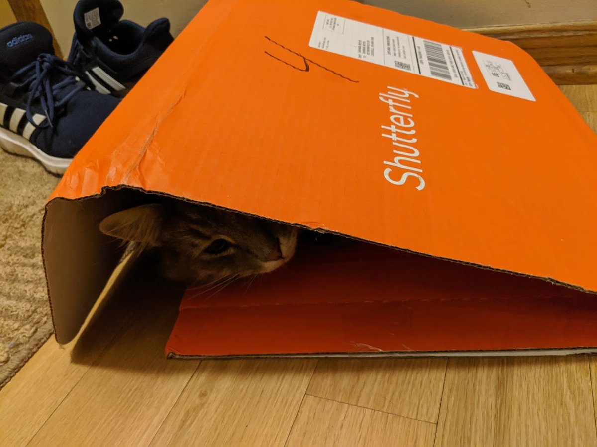 DawnakaM's tweet photo. Sometimes the best houses are created in "creative orange" from our favorite go to company for calendars, cards &amp; more! Play was involved here too w/sweet Steel. Our 12 yr old told me to let Ellen know as well due to her love of @Shutterfly too! We love @TheEllenShow #creativecat https://t.co/fz0KSISbLF